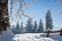 开云网址-电竞比(bǐ)赛吸引全球年轻观衆(zhòng)