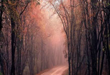 开云网址-WTT澳门冠(guān)军赛｜王楚钦获男单冠(guān)军