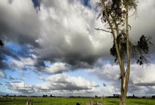 开云网址-深圳壹秘科技取得基于视觉算法的网球场地类型确定专利